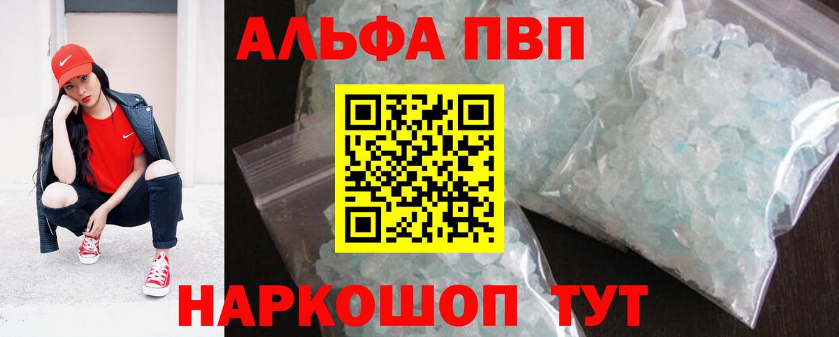 Альфа ПВП СК КРИС Пугачёв