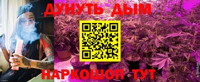 прущие крисы Гатчина