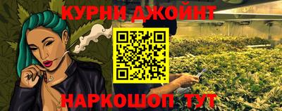 прущие крисы Гатчина