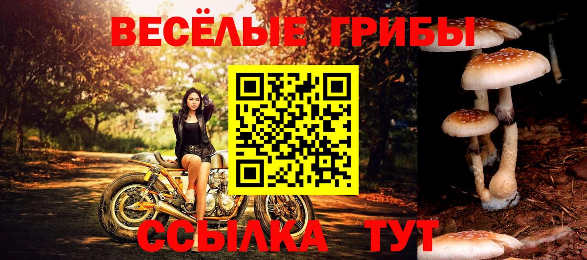 Псилоцибиновые грибы Psilocybine cubensis  Вход с VPN  купить закладку  Пугачёв  Галлюциногенные грибы ЛСД 